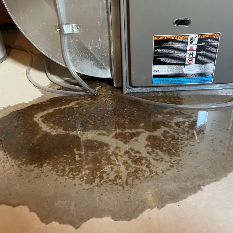 Pipe Burst and Leak Restoration in Hanover, MD